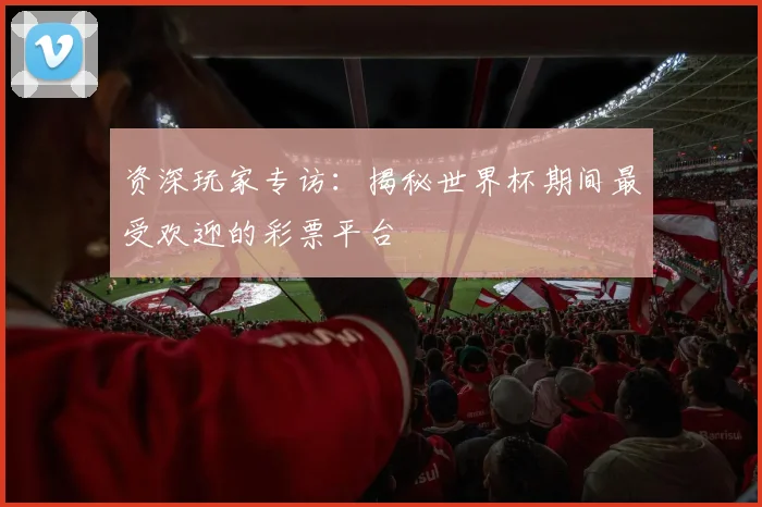 资深玩家专访：揭秘世界杯期间最受欢迎的彩票平台