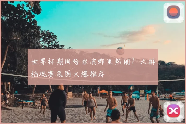 世界杯期间哈尔滨哪里热闹？大排档观赛氛围火爆推荐