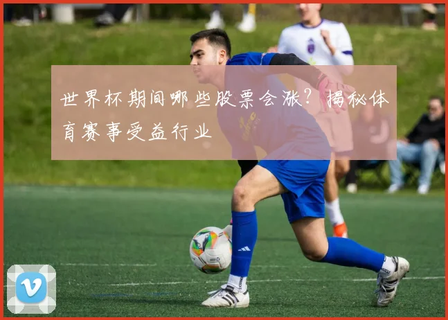 世界杯期间哪些股票会涨？揭秘体育赛事受益行业