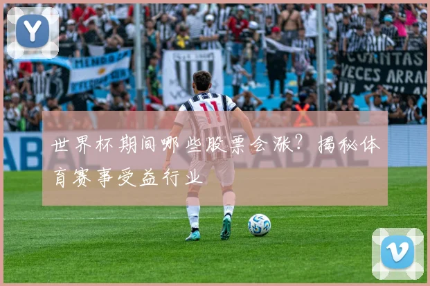 世界杯期间哪些股票会涨？揭秘体育赛事受益行业