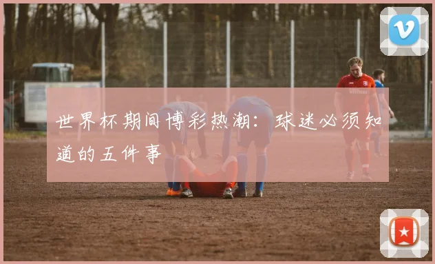世界杯期间博彩热潮:球迷必须知道的五件事