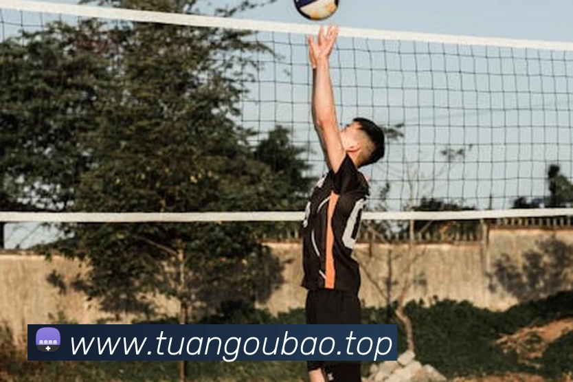 App Interface Preview