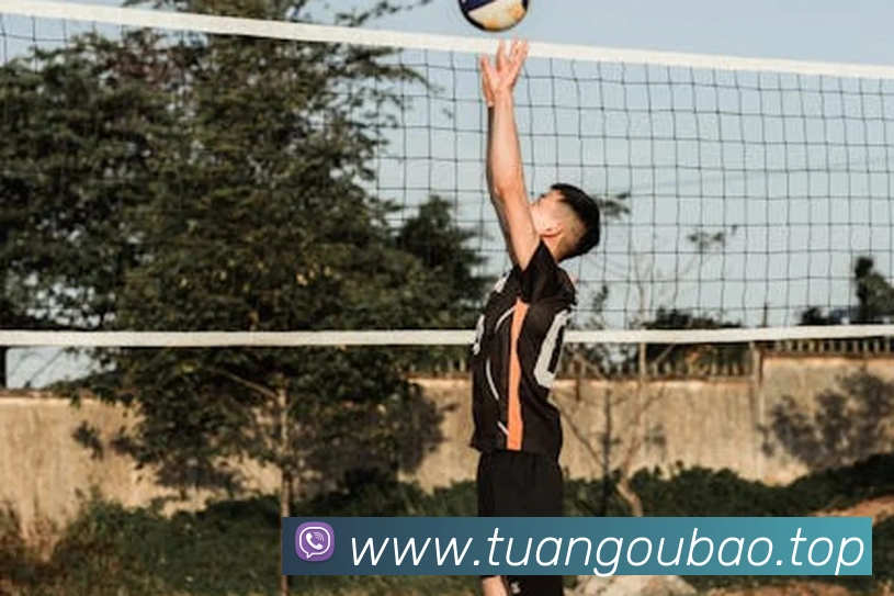 多彩内容专区