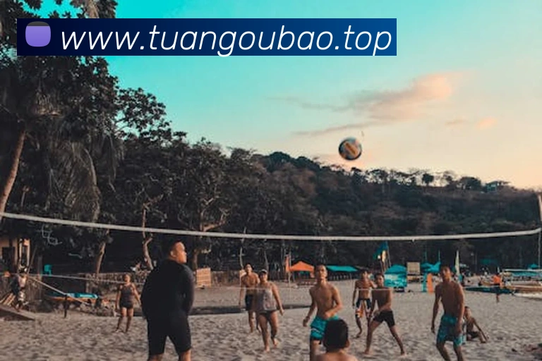 开云手机入口登录官网APP 封面图